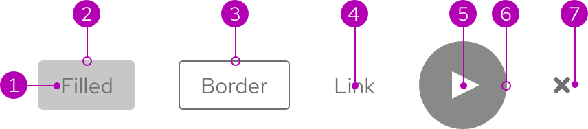 Anatomy image of buttons with numbered annotations